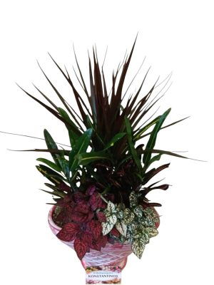 Σύνθεση Φυτών σε Κεραμικό