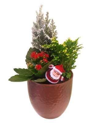 ΕΟΡΤΑΣΤΙΚΗ ΣΥΝΘΕΣΗ ΜΕ ΦΥΤΑ