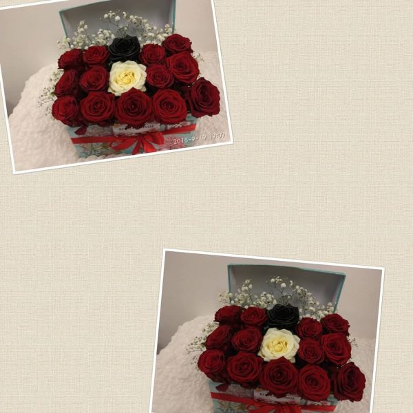 flowers in abox 13 μοναδικά Τριαντάφυλλα, ιδανικά για δώρο! Αυθημερόν delivery στη Θεσσαλονίκη! Ανθοπωλείο Ανθοδημιουργίες, στην Τούμπα Θεσσαλονίκης
