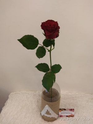 κόκκινο τριαντάφυλλο