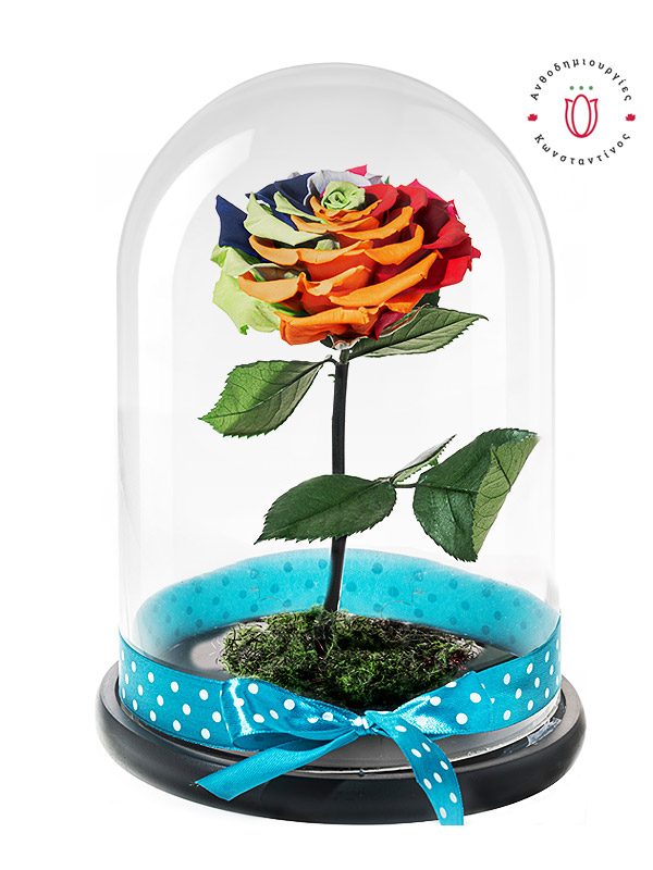 Πανέμορφο αληθινό τριαντάφυλλο ουράνιο τόξο σε εντυπωσιακή γυάλινη καμπάνα. Ανθοπωλείο Ανθοδημιουργίες Τούμπα Θεσσαλονίκης
