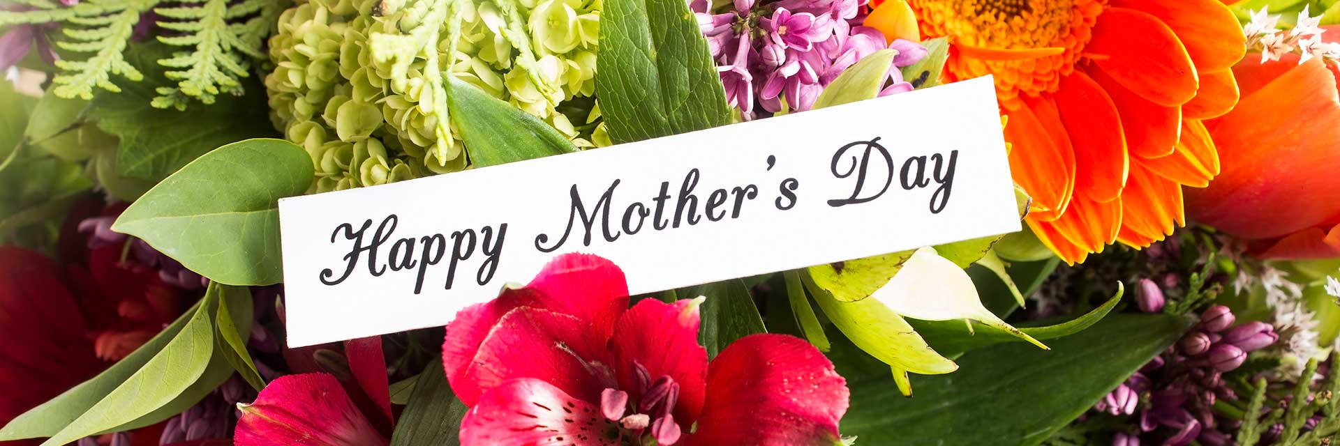 όμορφα αρωματικά λουλούδια και φυτά σε ποικιλία χρωμάτων για την γιορτή της μητέρας 12 Μαΐου 2024