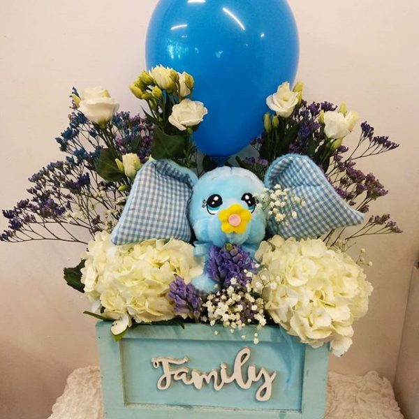 λουλούδια μπλε σε κασπό family για γεννητούρια