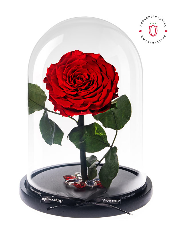 open-red-rose- forever in a glass