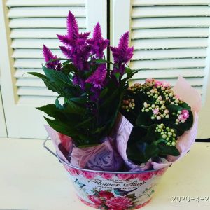 ΣΥΝΘΕΣΗ ΜΕ ΣΕΛΟΣΙΑ & ΚΑΛΑΝΤΙΒΑ ΘΕΣΣΑΛΟΝΙΚΗ | Online ανθοπωλείο ανθοδημιουργίες Τούμπα Θεσσαλονίκης