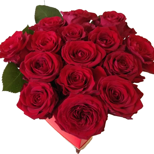 RED TRIANTAFYLLS IN CARDIAS BOX Thessaloniki | Online florist florist Toumba Thessaloniki