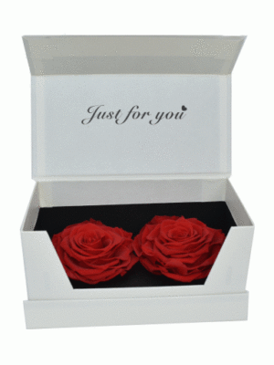 Flowers in a box ETERNITY ROSES RED IN A BOX Thessaloniki | Florist florist Creations Toumba Thessaloniki