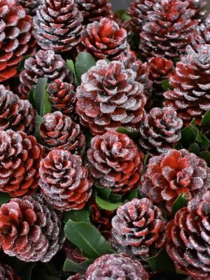 CHRISTMAS RED PINE CONE BRANCH WITH GLITTER