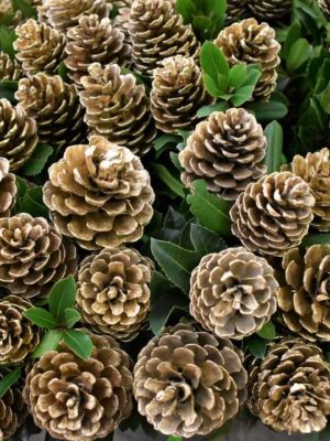 CHRISTMAS GOLD PINE CONE BRANCH