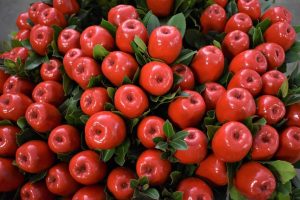 Ανθοπωλείο Θεσσαλονίκη Χριστουγεννιάτικο κλαδί Μήλο κόκκινο