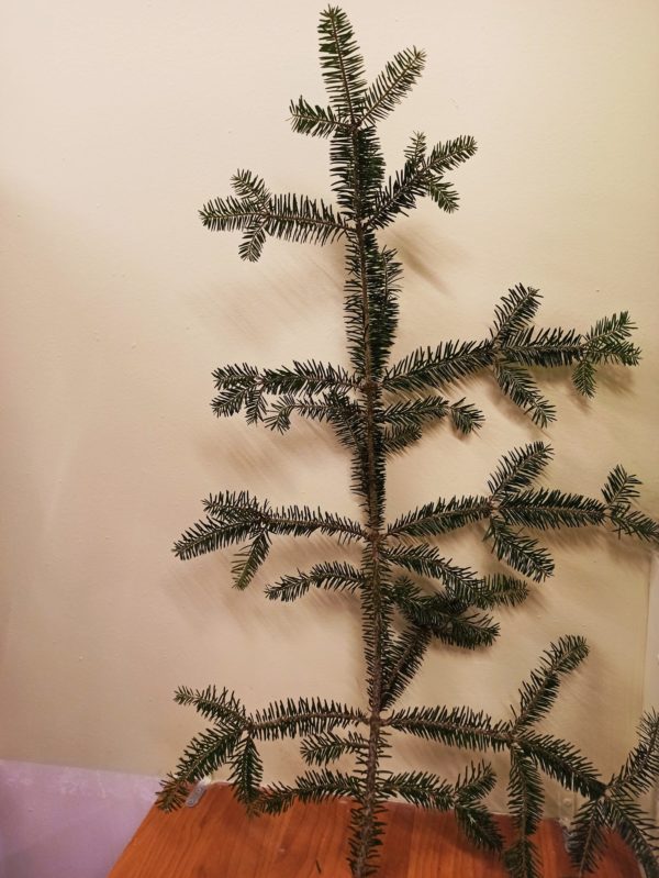 Christmas Natural Fir Branch