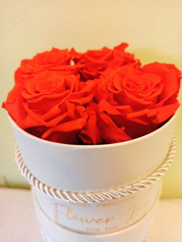 Roses FOREVER orange in a gift box 13x13cm