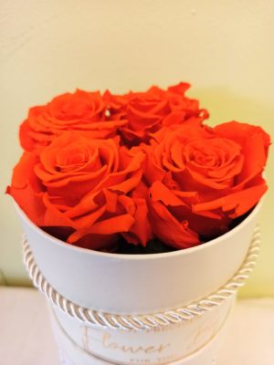 Ανθοπωλείο Θεσσαλονίκη Ανθοδημιουργίες | Τριαντάφυλλα FOREVER πορτοκαλί σε κουτί δώρου