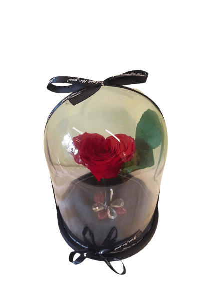 Καρδιά Forever σε γυάλινη καμπάνα διακοσμημένη με κρύσταλλα! Βρείτε μεγάλη γκάμα Λουλουδιών για δώρο | Ανθοπωλείο Θεσσαλονίκη ανθοδημιουργίες