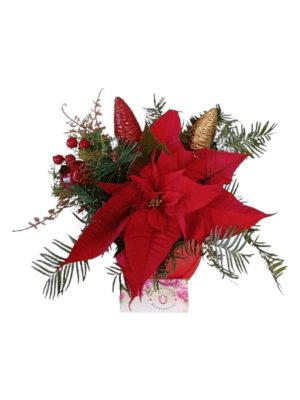 ΣΥΝΘΕΣΗ ΓΙΟΡΤΙΝΗ ΣΕ ΚΟΥΤΙ ΔΩΡΟΥ ΠΟΛΥΤΕΛΕΙΑΣ