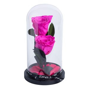 Forever Roses Φούξ σε Γυάλινη Καμπάνα