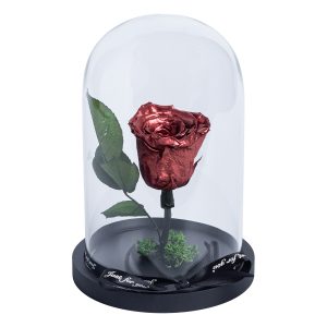 FOREFER ROSE ΣΤΟ ΧΡΩΜΑ ΤΟΥ ΧΑΛΚΟΎ